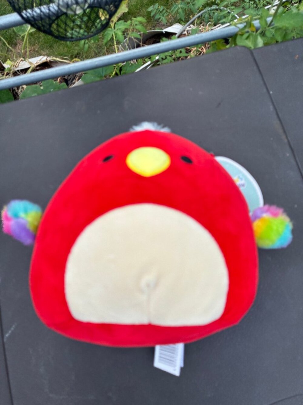 Squishmallows Baby Paco the Red Parrot  8 in